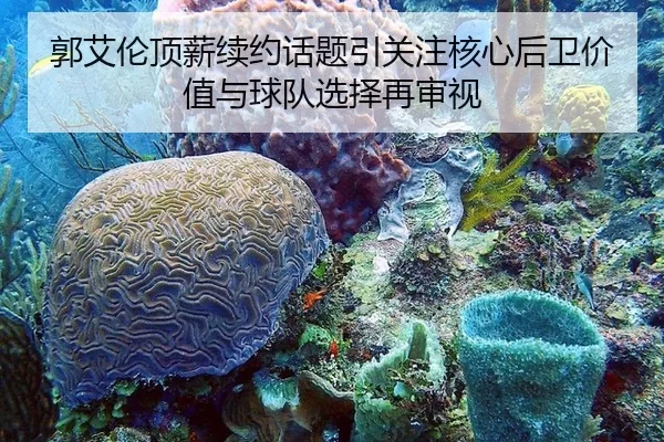 郭艾伦顶薪续约话题引关注核心后卫价值与球队选择再审视